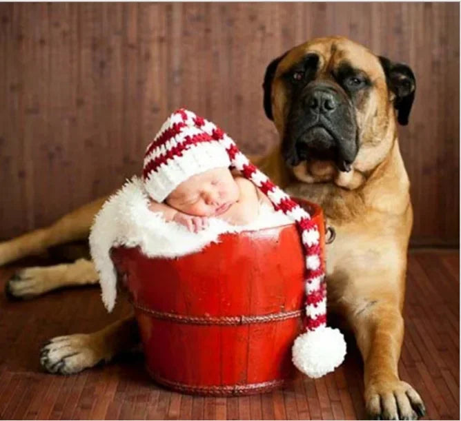 Lovely Dog Photo Shoot Props for Newborns Photography Accessories Boy Girl Birth Clothes Set New Born Knitted Costume Outfit
